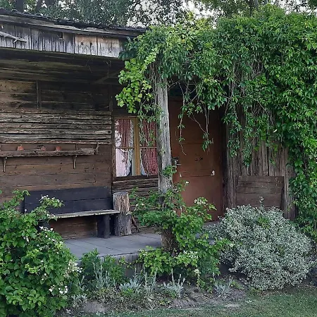 Garden Escape,